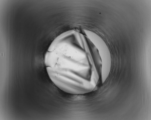 X0000096160617200802151416