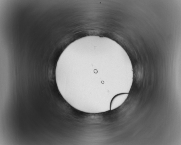 X0000096160619200802151416