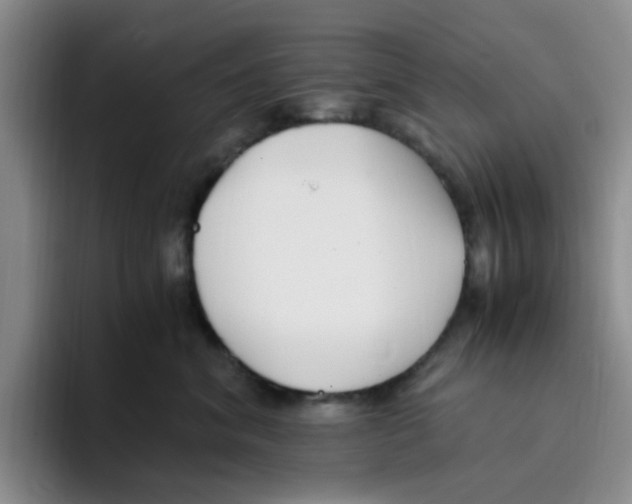 X0000096160620200802151416