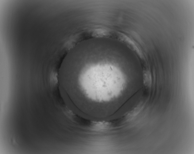 X0000096160621200802151416