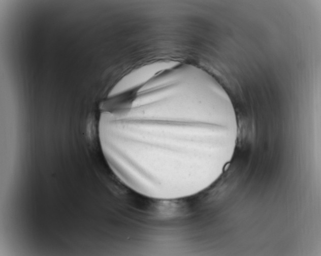 X0000096160623200802151416