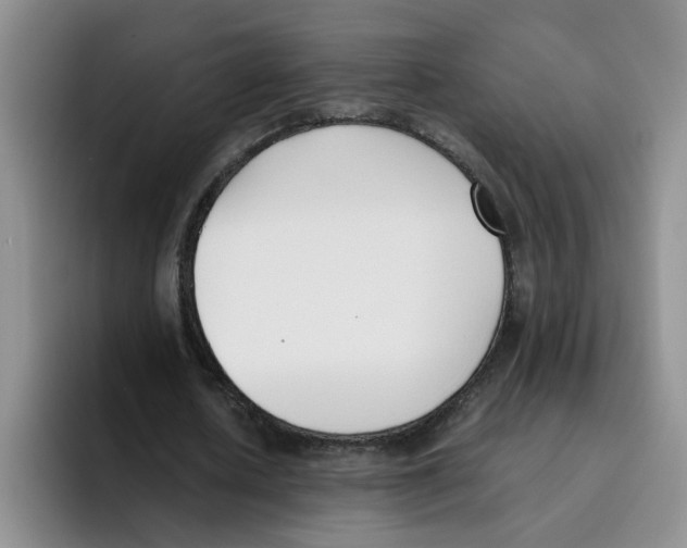 X0000096160626200802151415