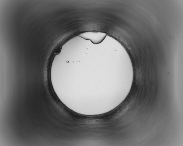 X0000096160629200802151415