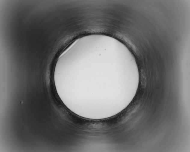 X0000096160631200802151415