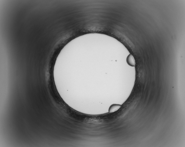 X0000096160635200802151415