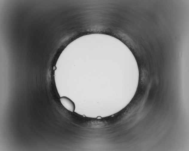 X0000096160636200802151415