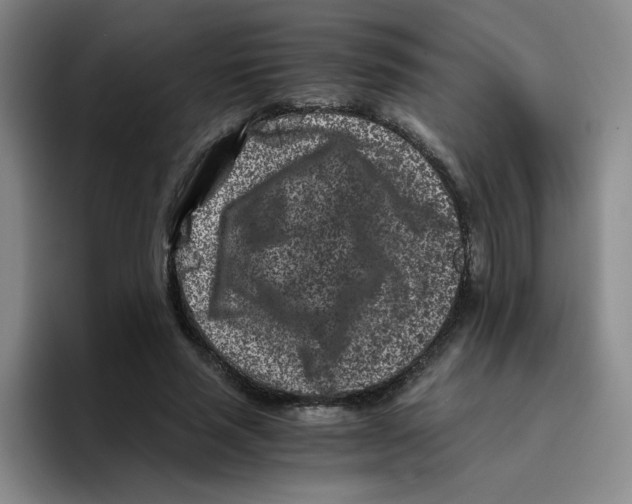 X0000096160637200802151415