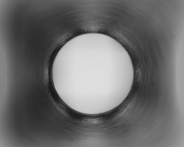 X0000096160638200802151415