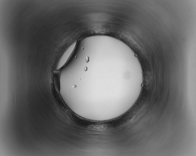 X0000096160639200802151415