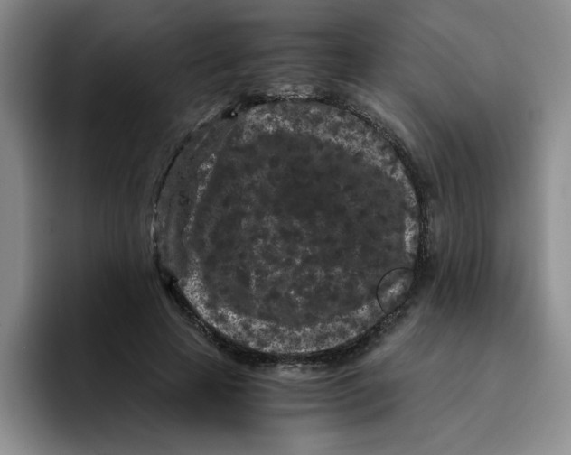 X0000096160641200802151415