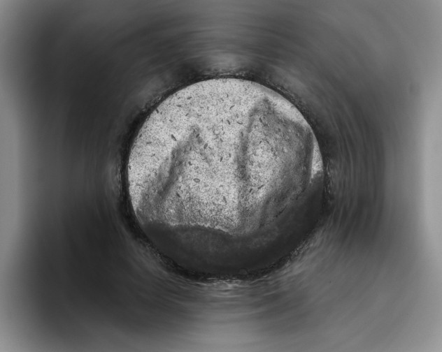 X0000096160642200802151415