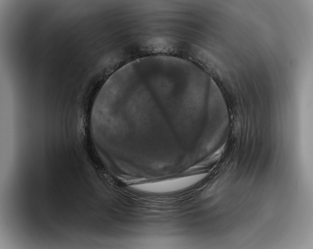 X0000096160643200802151415