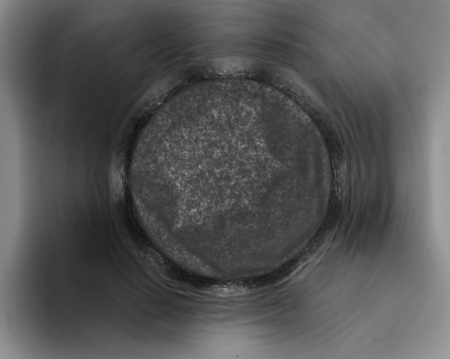 X0000096160644200802151415