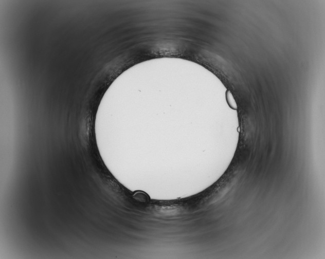 X0000096160645200802151415