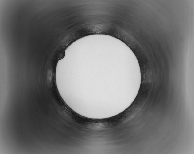 X0000096160646200802151415