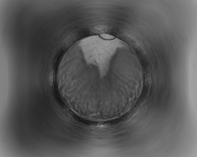 X0000096160647200802151415