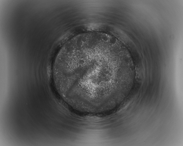 X0000096160648200802151415