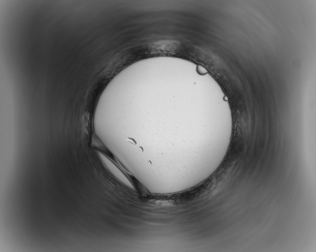 X0000096160649200802151415