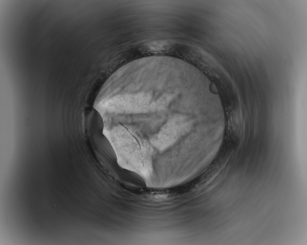 X0000096160651200802151415