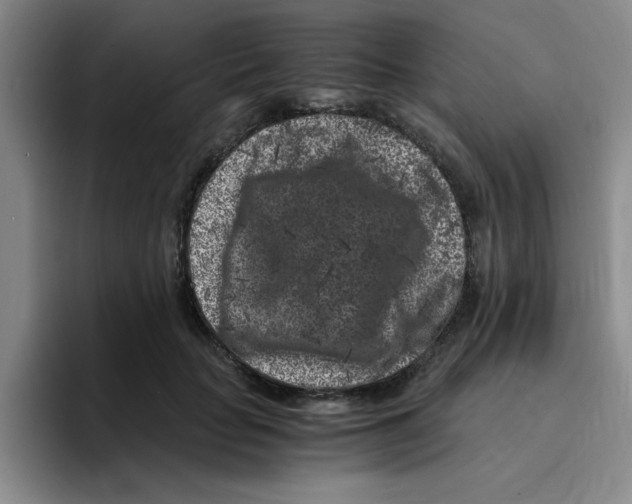 X0000096160653200802151416