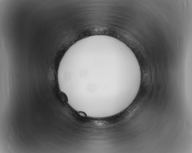 X0000096160654200802151416