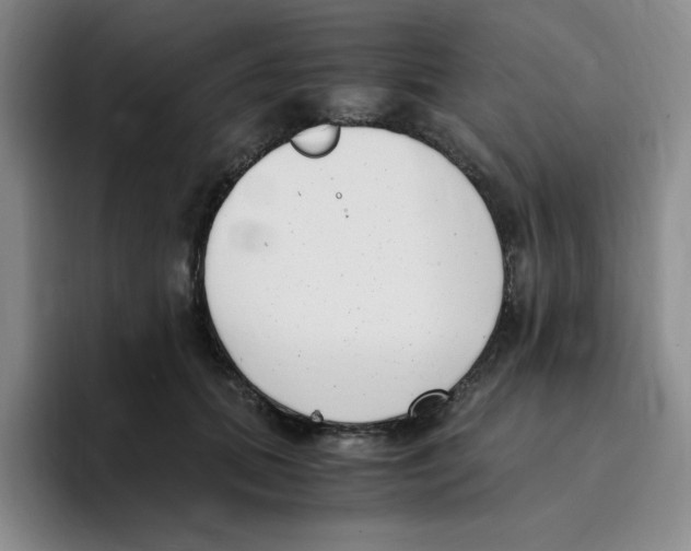 X0000096160655200802151416