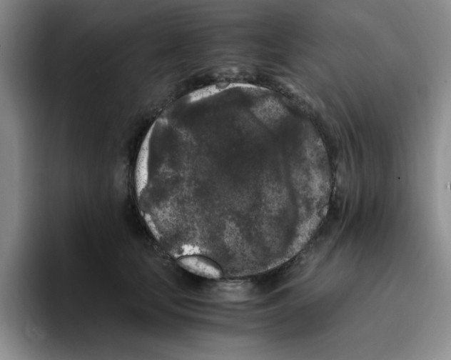 X0000096160659200802151416