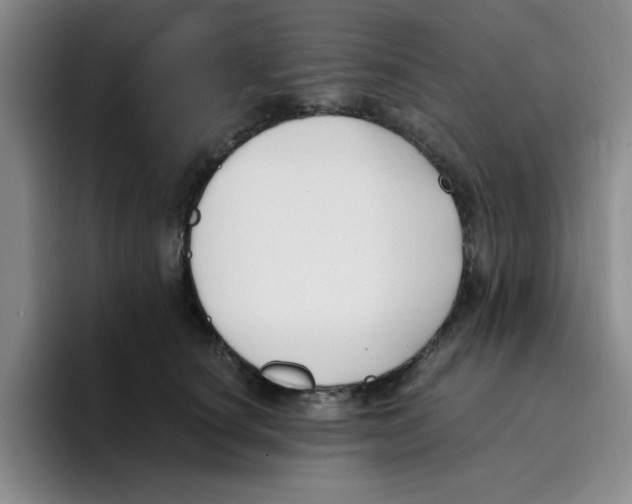 X0000096160660200802151416