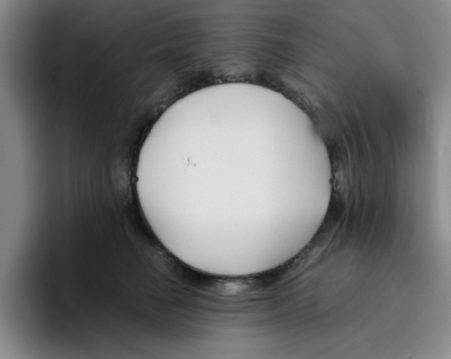 X0000096160662200802151416