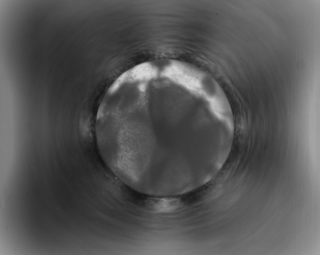 X0000096160663200802151416