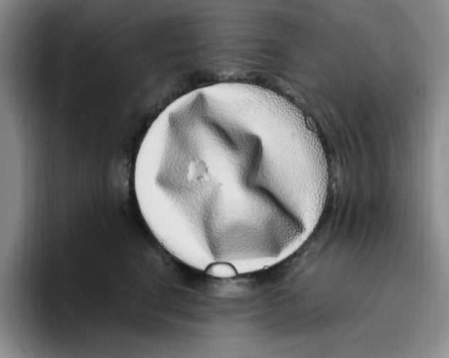 X0000096160664200802151416