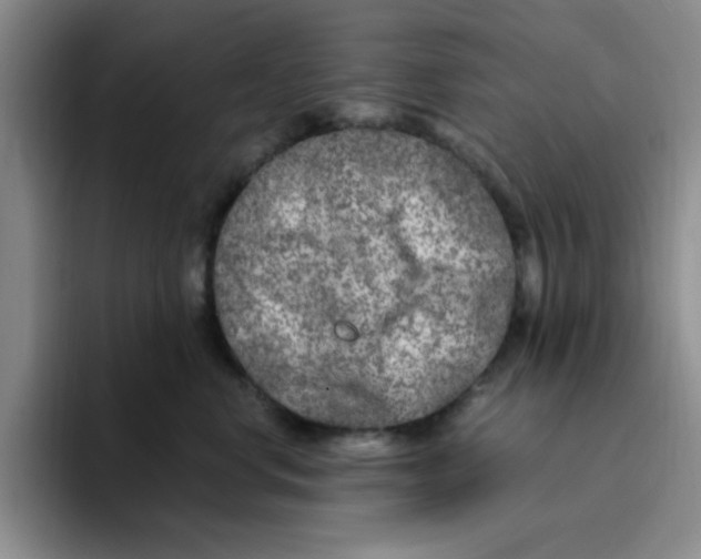 X0000096160668200802151416