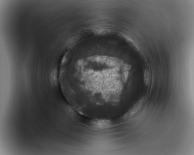 X0000096160670200802151416