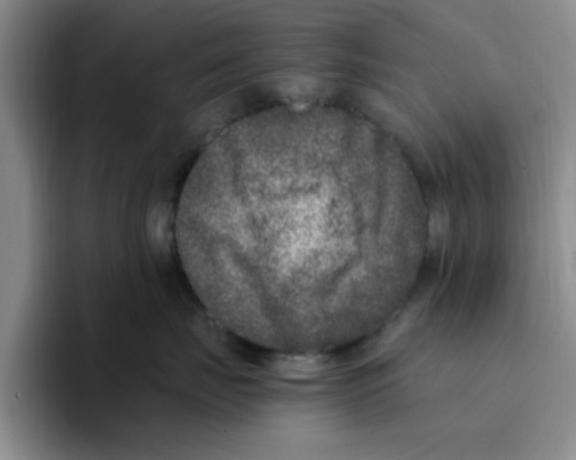 X0000096160671200802151416