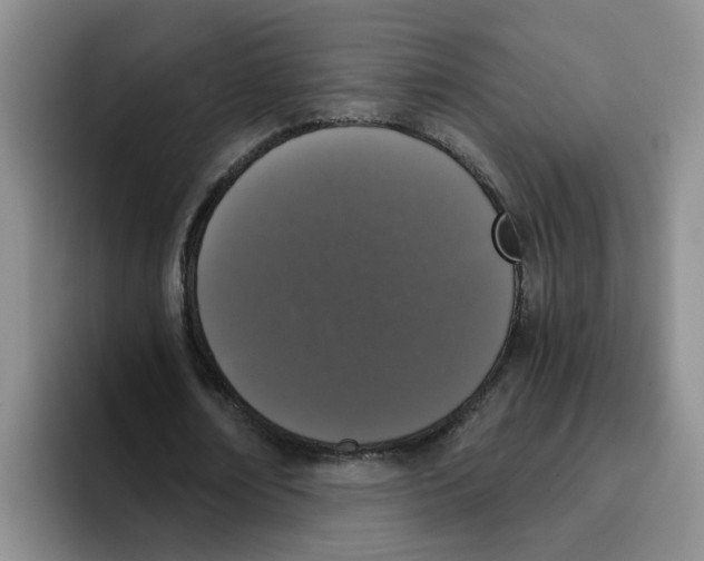 X0000096160674200802151415