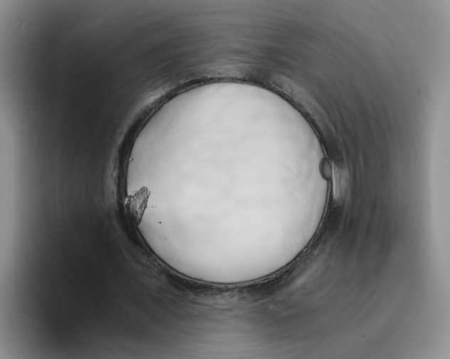 X0000096160675200802151415