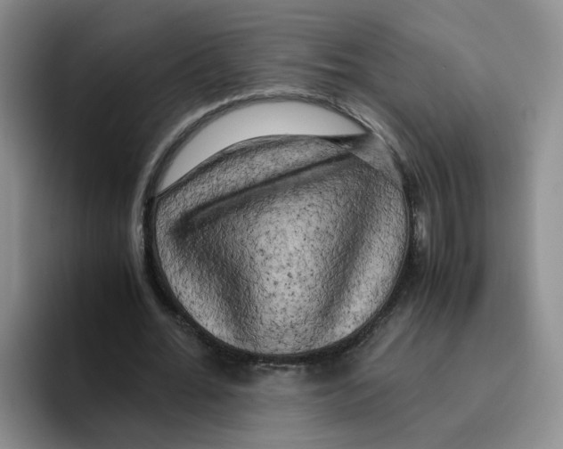 X0000096160676200802151415