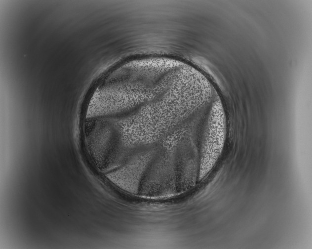 X0000096160677200802151415