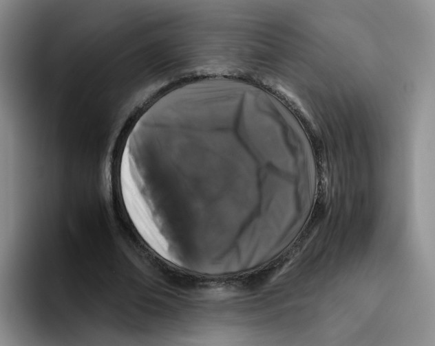 X0000096160678200802151415