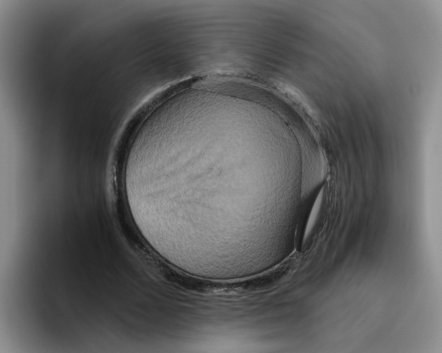 X0000096160680200802151415