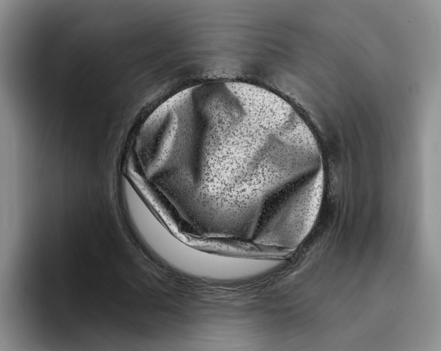 X0000096160681200802151415