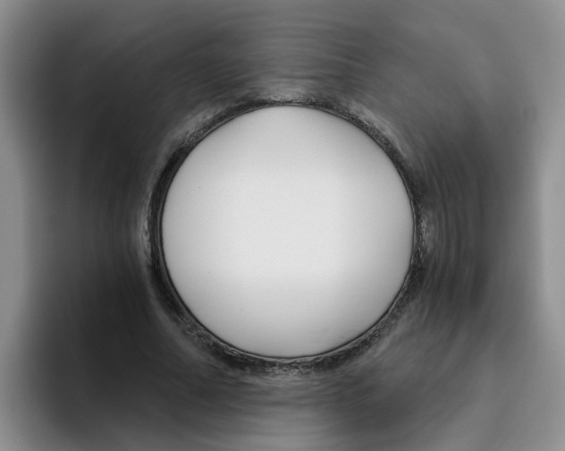 X0000096160682200802151415