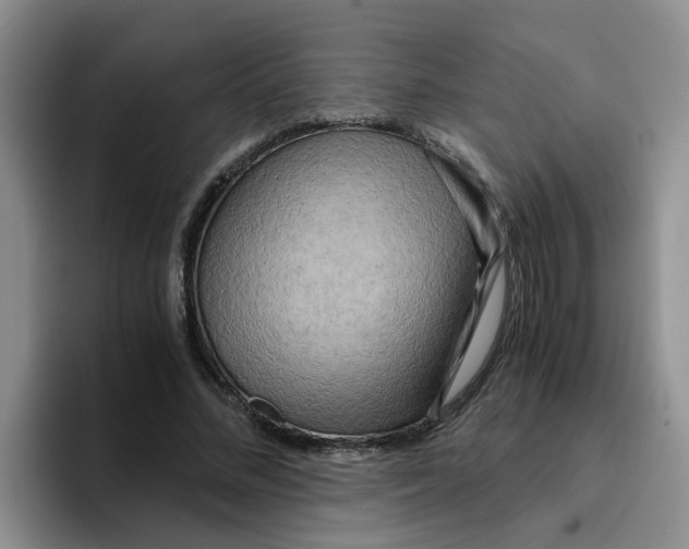 X0000096160684200802151415