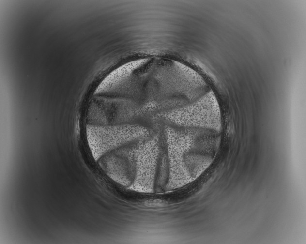 X0000096160685200802151415