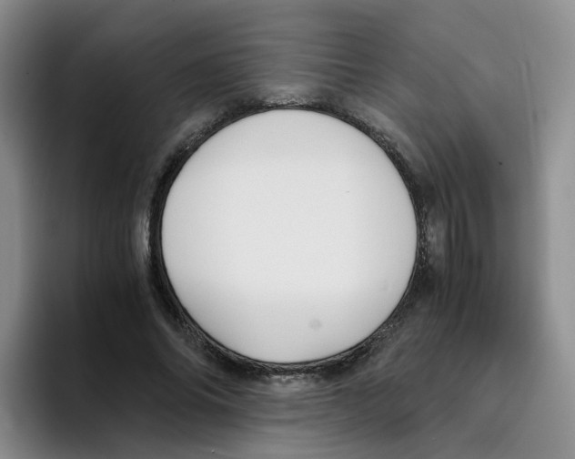 X0000096160686200802151415