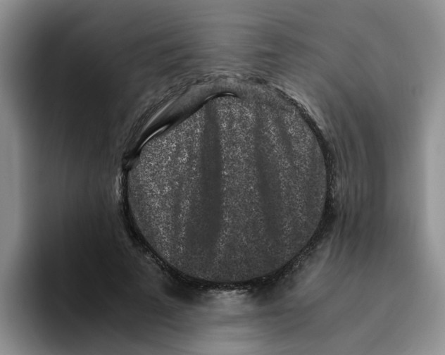 X0000096160689200802151415