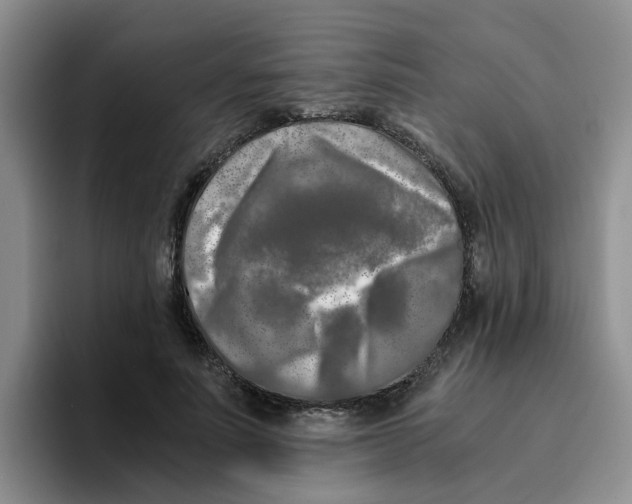 X0000096160691200802151415