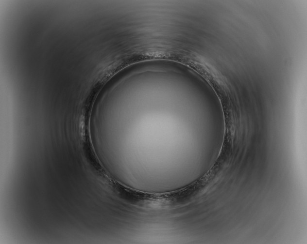 X0000096160696200802151415