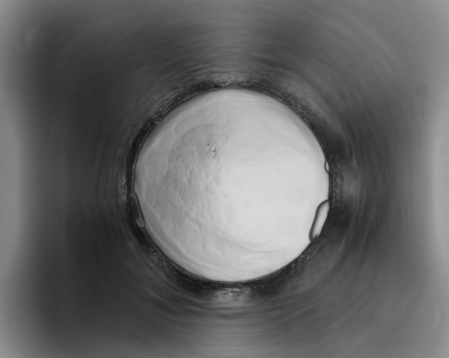 X0000096160700200802151415