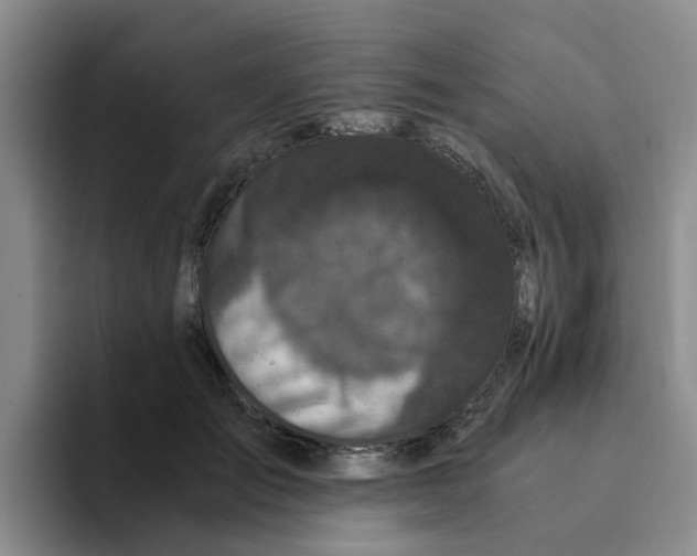 X0000096160701200802151415